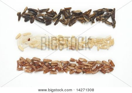 Three Rows Of Rice