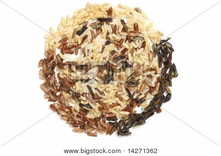Three Types Of Rice In A Circle