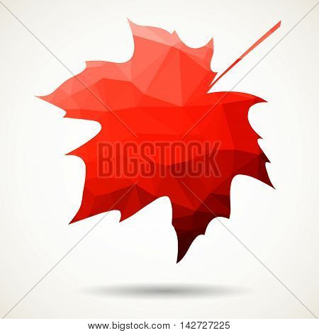 Triangular Maple Leaf