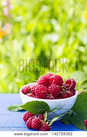 Bowl of raspberry on green background vertical