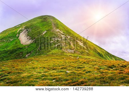 Picturesque Carpathian mountains landscape view of mount Hoverla Ukraine