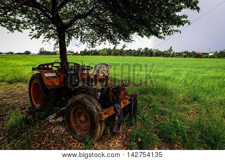 The Tractor on the Rice Cornfield Phichit Thailand