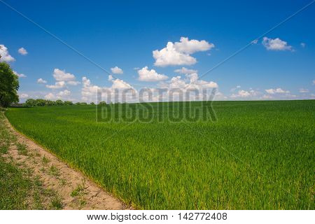 beautiful landscape clean blue sky. beautiful landscape clean blue sky.