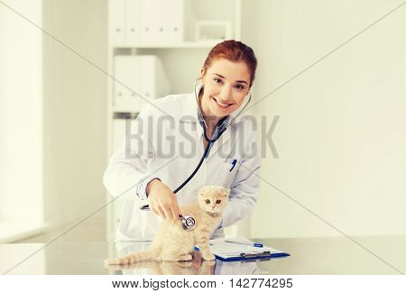 medicine, pet, animals, health care and people concept - happy veterinarian doctor with stethoscope checking scottish fold kitten up at vet clinic