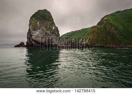 Green rocky cliffs form the coastline of the Avacha Bay, Kamchatka, Russia