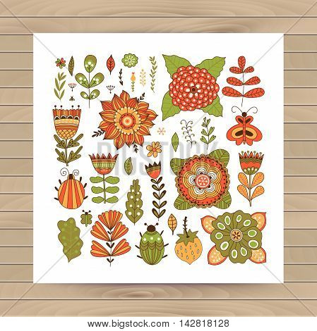 Set of vector flowers. Vector floral set. Graphic collection with leaves, herbs, bugs, butterflies and flowers, drawing elements. Spring theme design for invitation, wedding or greeting cards