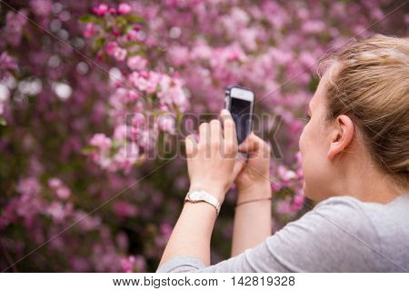 Portrait of a young smiling woman taking picture of an apple trees' flowers by her smartphone. Girl and blooming apple tree. Spring time with trees flowers. photo on phone. Outdoors.