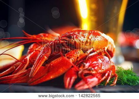 Boiled red crayfish or crawfish with a beer and herbs on a slate rustic table. Close up. Crayfish party