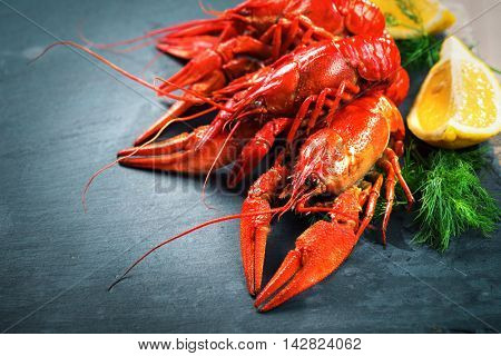 Red boiled crayfish or crawfish with lemon and herbs on stone slate dark background. Lobster closeup