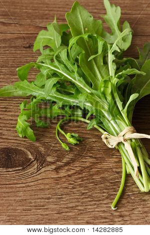 Frisk rucola blade.