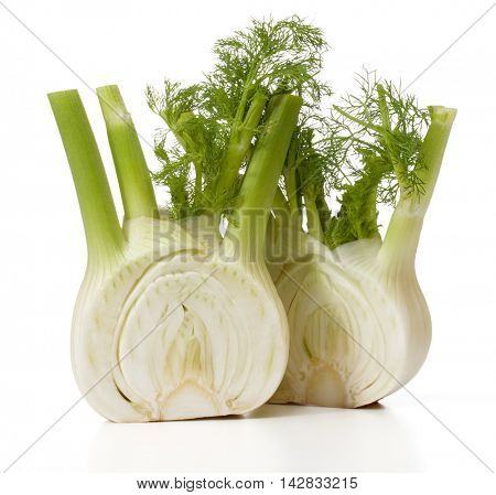 Fresh fennel bulb isolated on white background close up