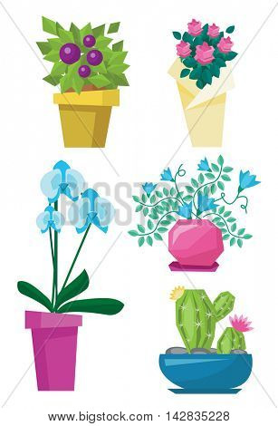 Variety of colorful flowers such as cactus, roses, orchid and other flowers vector flat design illustration isolated on white background.