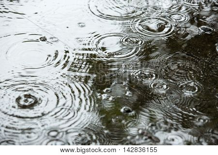 Beautiful Backgrounds With Falling Water Drops In A Puddle In The Rain