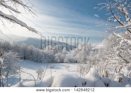 Winter snow in the Carpathian Mountains lot.