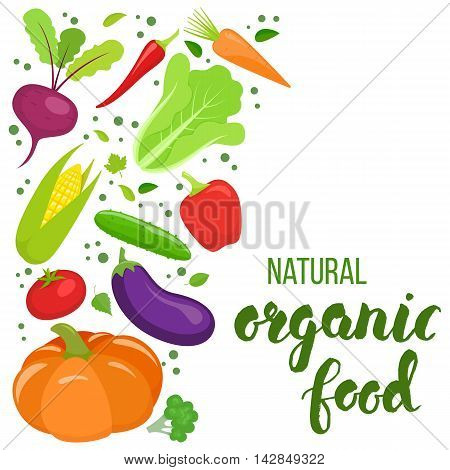 Side vertical border with colorful vegetables. Template for packaging cards posters menu. Handwritten lettering - organic food. Vector stock illustration.