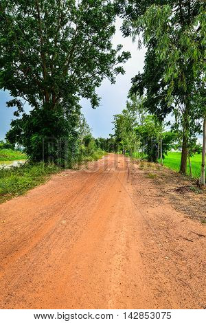 Dirt Street nearby the Rice Cornfield Phichit Thailand