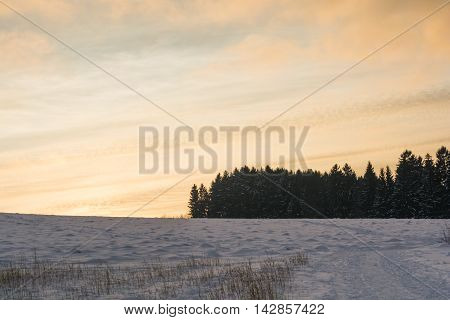 atmospheric evening twilight at sunset in free winter landscape