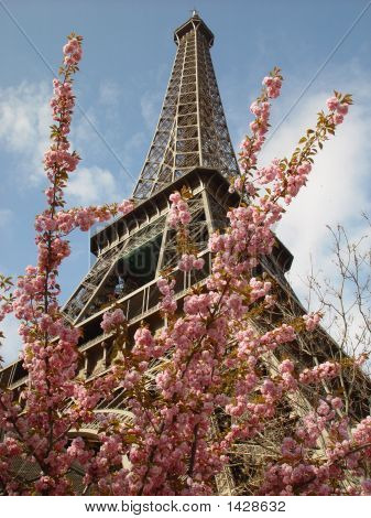  Eiffel Tower0405