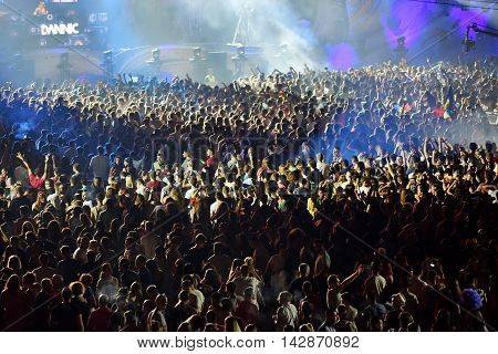 Crowd In A Stadium At A Concert