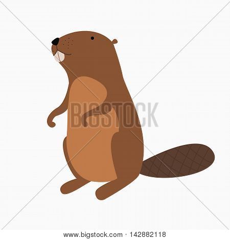 Illustration of a beaver on a white background