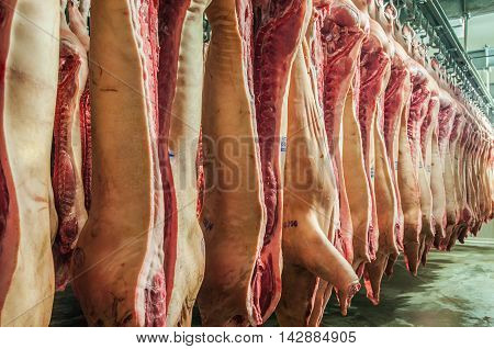 Fresh meat pigs in a cold cut factory