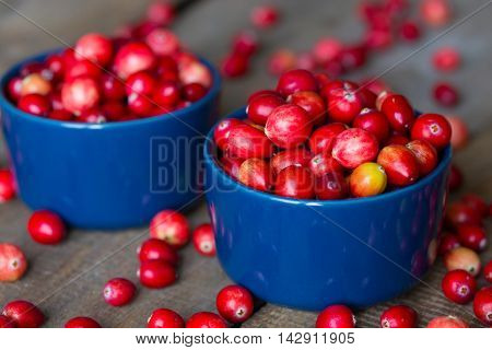 Cranberries