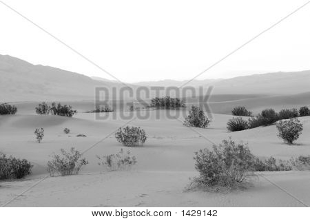 Dunes de sable à Death Valley Californie Usa