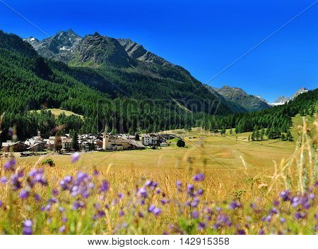 view on mountain village Rhemes Notre Dame from hayfield