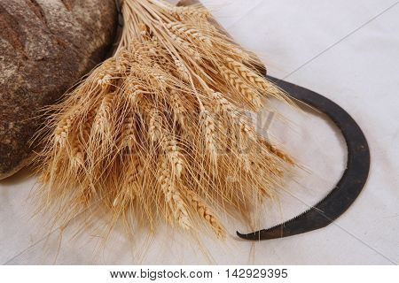 bunch of mown wheat ears with vintage handmade reaper hook sickle and rye dark french fresh bread loaf on white linen tablecloth