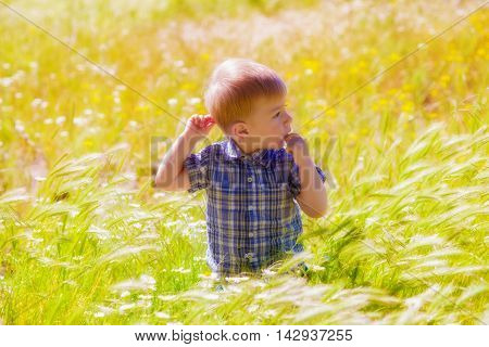 Little boy on summer field with flowers