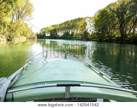 Wild Brenta River