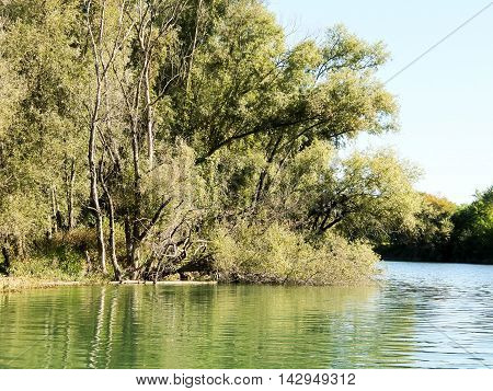 Wild Brenta River