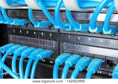 Close up of blue network cables connected to black patch panel
