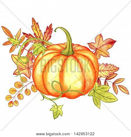 watercolor isolated orange pumpkin and autumn leaves at white background, hand drawn illustration, thanskgiving card