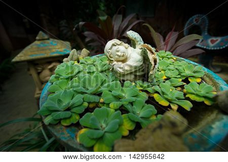 Garden statue of angel holding the dove