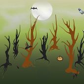무서운 holloween 숲