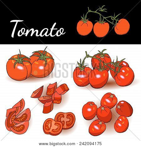 Slices Of Tomato, Tomato Cherry. Isolated On White. For Your Design, Announcements, Cards, Posters.