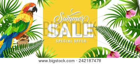Summer Sale, Special Offer Banner Design With Palm Leaves, Tropical Flowers And Parrot. Text Can Be 