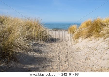 Footpath To The Beach Through The Sand Dunes With Marram Grass (ammophila Arenaria) At The Baltic Se