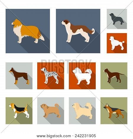 Dog Breeds Flat Icons In Set Collection For Design.dog Pet Vector Symbol Stock  Illustration.