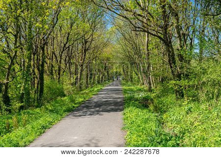 Couple Riding Cycles On The Tarka Trail Near Torrington In North Devon