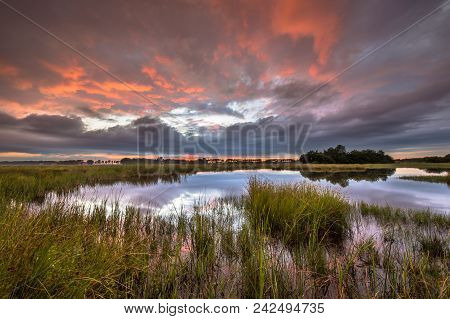 Dramatic Sunset Over Marshland In Natural Landscape In Westerwolde Nature Reserve In The Netherlands