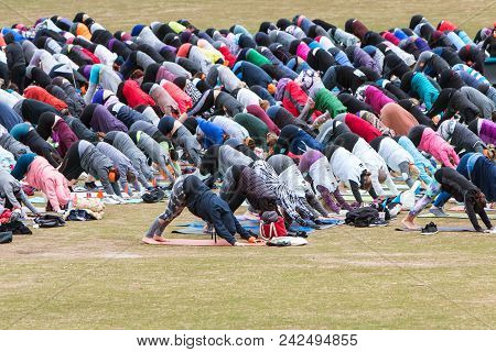 Atlanta, Ga - April 2018: Dozens Of People Do Downward Facing Dog Pose As They Take Part In A Massiv