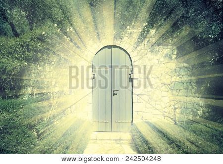 Door Of The Heaven In A Dreamy Rosegarden  With Sunbeam