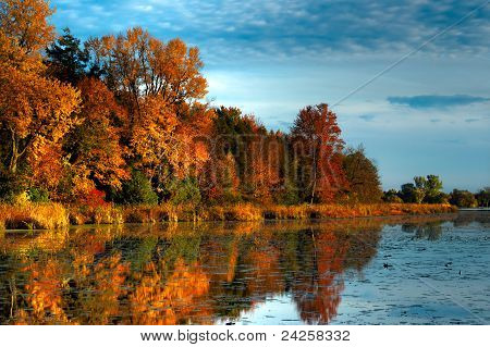 HDR Herbst Wald am Ufer