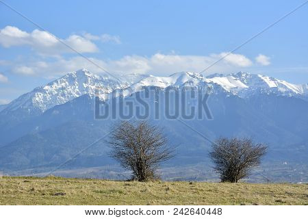 Landcscape Hight Mountains. Landscape In The Fields.