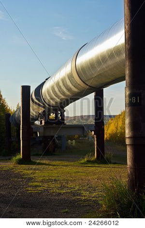 Sonbaharda Trans-alaska boru hattı