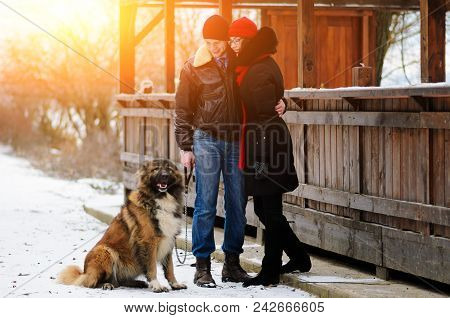 Happy Couple With Dogs In Winter Forest. Lovely Moments Outdoor