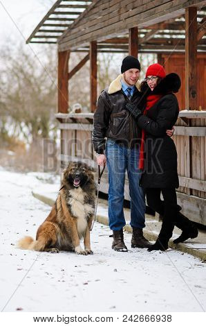 Happy Couple With Dogs In Winter Forest. Lovely Moments Outdoor