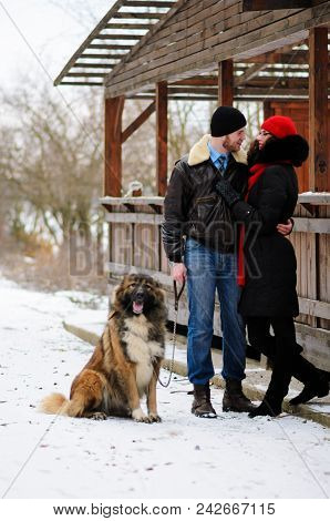 Happy Couple With Dogs In Winter Forest. Lovely Moments Outdoor